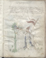 image006