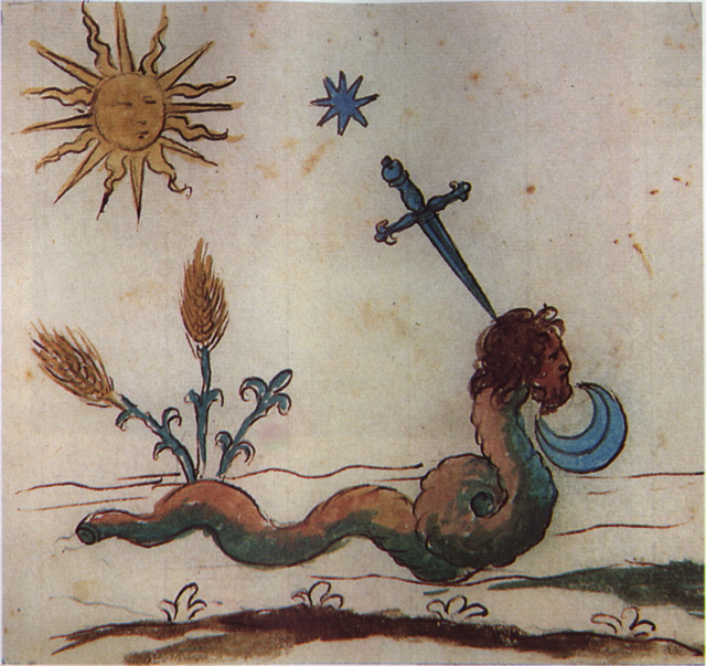 plate_45_scan