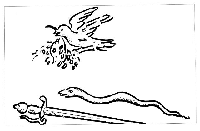 plate_64_scan