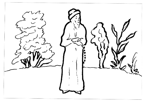 plate_73_scan
