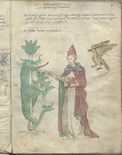 image008