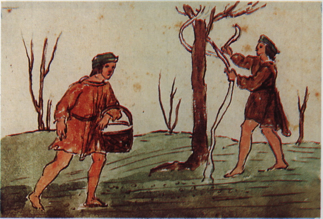 plate_81_scan